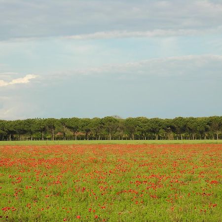 Appartamenti Mirella Bibione Kültér fotó